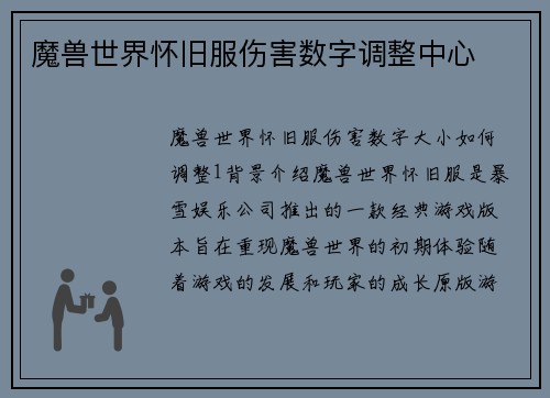 魔兽世界怀旧服伤害数字调整中心